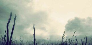 De wereld zet zich schrap voor een apocalyptische toekomst