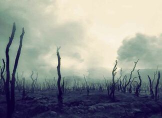 De wereld zet zich schrap voor een apocalyptische toekomst