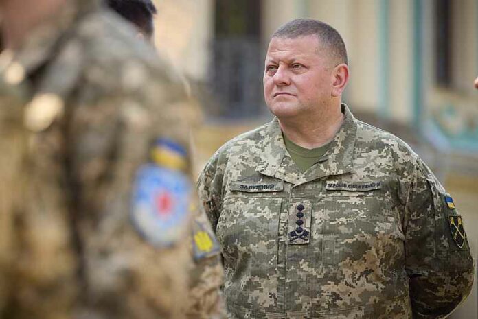 generaal Zaluzhny