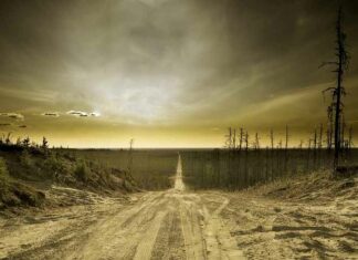 Niemand komt levend uit de klimaatramp – Dane Wigington