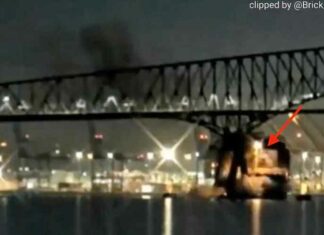 Was het een “ongeluk?” Lara Logan Intel Bronnen beweren dat de instorting van de brug in Baltimore op de “op één na drukste strategische weg voor gevaarlijke stoffen” een “absoluut briljante strategische aanval” was