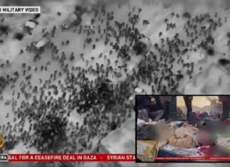 Israël opent vuur op menigte van 1.000 Gazanen die wachten op voedsel en doodt er meer dan 100 – CNN noemt bloedbad een ‘chaotisch incident’