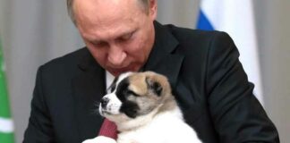 Amerikanen conditioneren voor oorlog met Rusland