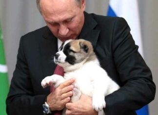 Amerikanen conditioneren voor oorlog met Rusland