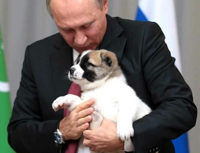 Vladimir_Poetin-hond