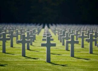 Slachtoffers van de wereldoorlogen stierven tevergeefs