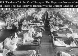 De 1918 ‘Pandemie’ en de Viraal Theorie – ‘De onbewezen notie van door de lucht verspreide virale ziekte die de mensheid heeft onderworpen aan het corrupte medische kartel’