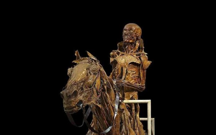 dood-paard