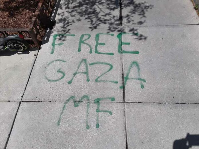 free-Gaza