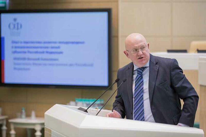 Vassily Nebenzya