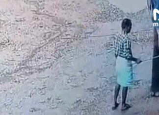 Video: Olifant stampt trainer dood, vouwt man op als papier