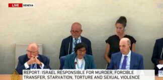 Onderzoekscommissie van de Verenigde Naties: Israëlische functionarissen VERANTWOORDELIJK voor oorlogsmisdaden in Gaza