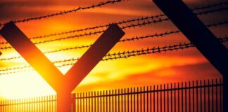 De argumenten voor massadeportaties