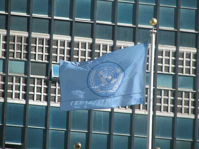 VN-vlag
