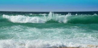 KLIMAAT FACTCHECK: Onderzoek toont aan dat het CO2-niveau in de atmosfeer wordt bepaald door de temperatuur van het zeeoppervlak en niet door menselijke emissies
