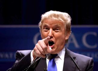 ABC News werknemers en mediafiguren razend nadat Trump een enorme 16 miljoen dollar juridische overwinning behaalt op het netwerk en George Stephanopoulos – 1 miljoen voor juridische kosten