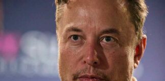 ‘Dit is een sociale kredietscore’: Bannon beschimpt Musk voor het veranderen van algoritme op X