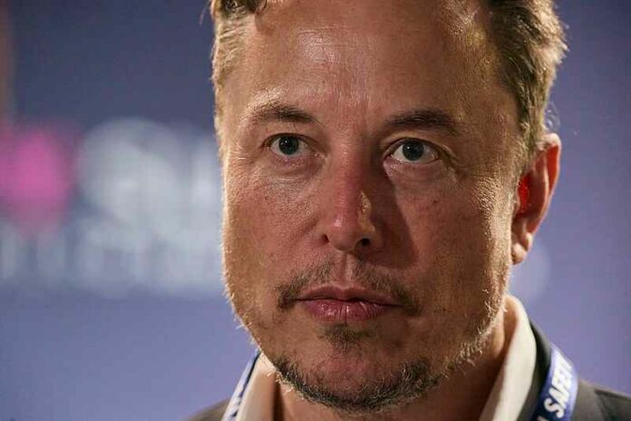 Elon Musk2