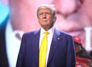 ‘Fuck’: Europese media konden de overwinning van Trump niet aan en gingen schelden