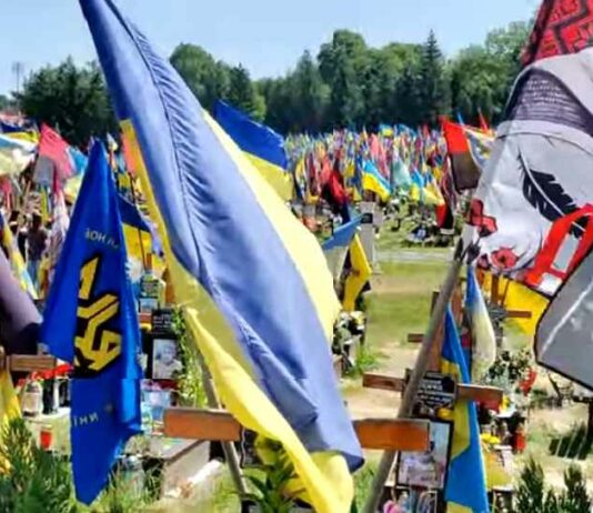 Zelensky en Budanovs nieuwe plan voor bevolkingsuitwisseling: de demografische ineenstorting van Oekraïne oplossen met migranten