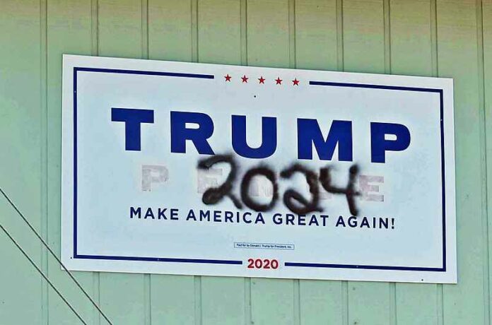 stemmen-vote-Trump
