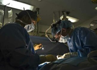 Orgaantransplantatiepatiënten melden dat ze donor geheugen en persoonlijkheidskenmerken erven
