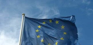 150 EU-bureaucraten bewaken vanavond Musks gesprek met AFD-leider