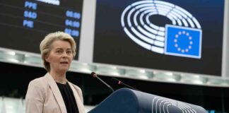 Zou u brood met wormen eten? Brussel denkt van wel