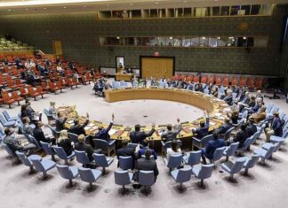 Trump houdt Europa en Israël in toom, terwijl Daniel Levy schittert voor de VN-Veiligheidsraad