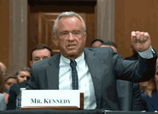 Pfizer en Moderna aandelen crashen nu Senaat RFK Jr voordraagt als Minister van Volksgezondheid