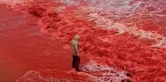 ‘Bloedregen’ kleurt strand in Iran helderrood vlak voor Bloedmaansverduistering donderdagavond
