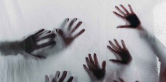 Oppervlakkige uniciteit en valse diversiteit
