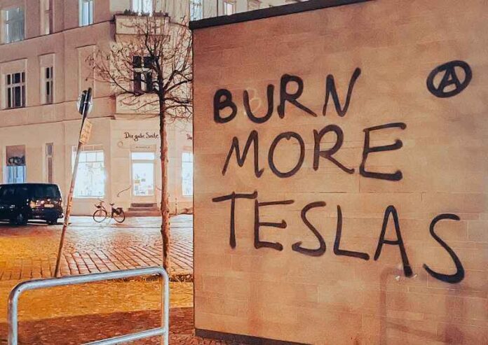 Burn_More_Teslas