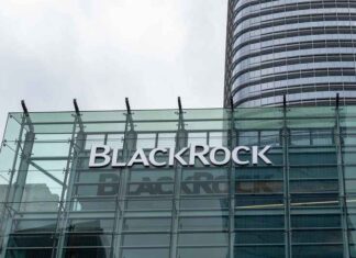 BlackRock strijkt MILJARDEN op door kindertransitie te stimuleren: jonge lichamen zijn een goudmijn