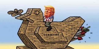 De oorlog aan het zuidelijke front tegen Rusland begrijpen