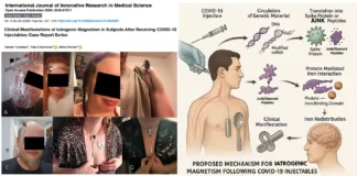 BREAKING – Eerste peer-reviewde studie documenteert magnetisme na vaccinatie