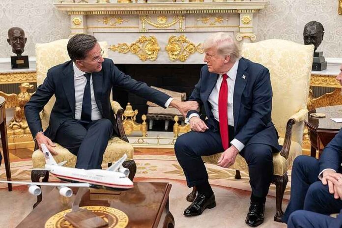 Rutte-Trump