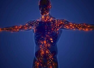 Wanneer je lichaam fluistert, luister dan: de intelligentie van symptomen