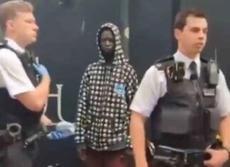 Bejaarde vrouw gearresteerd nadat ze bij de politie had gemeld dat een illegale migrant bij haar had ingebroken