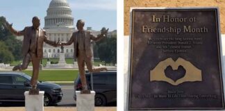 Mysterieuze standbeeld in Washington: Trump en Epstein hand in hand