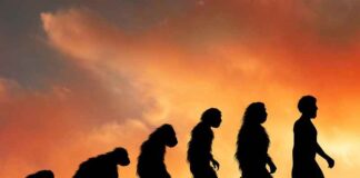 De mythe van de evolutietheorie ontkracht