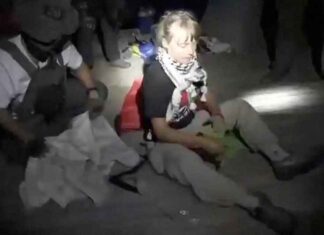 Greta: De Israëli’s schopten en sloegen me en noemden me ‘kleine hoer’ in het Zweeds