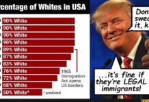 Amerika 2.0 – No Country for White Men