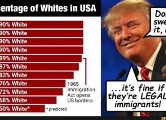 Amerika 2.0 – No Country for White Men