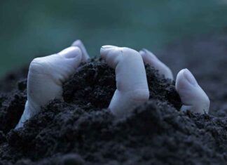 Zombies oogsten voor organen