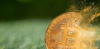 Een biljoen dollar gaat in rook op! De epische crash van cryptovaluta die we nu meemaken, is een belangrijk waarschuwingssignaal voor de wereldwijde markten