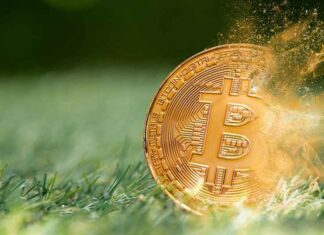 Een biljoen dollar gaat in rook op! De epische crash van cryptovaluta die we nu meemaken, is een belangrijk waarschuwingssignaal voor de wereldwijde markten