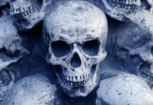 Ze zijn van plan ons opzettelijk uit te hongeren