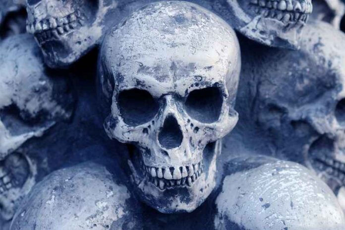 Depositphotos_638471492_skull-dood