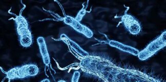 Een nieuw soort biologische wapens, of de eerste bacteriologische wereldoorlog